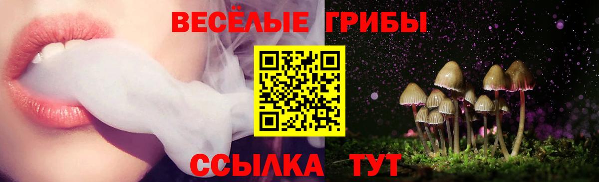 Галлюциногенные грибы Psilocybe  Вход с VPN  Нижний Тагил 